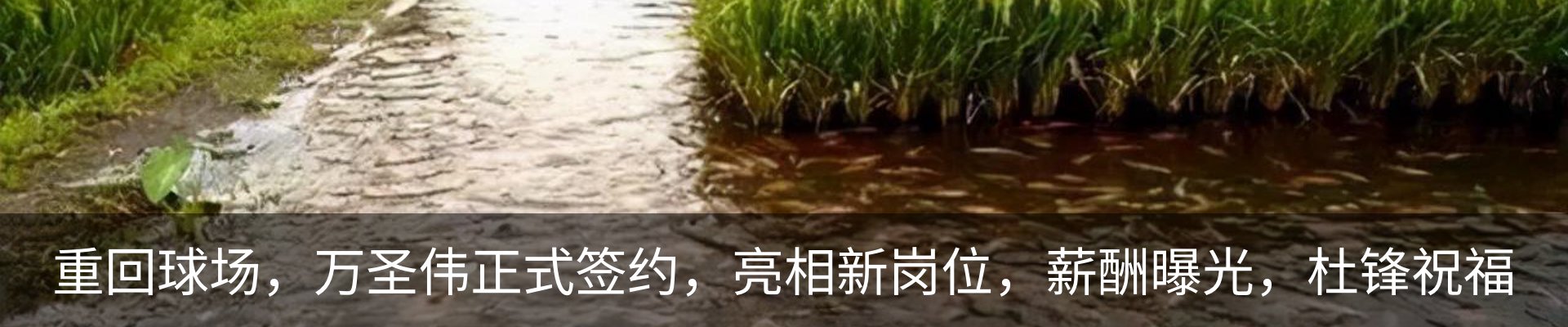 内页banner